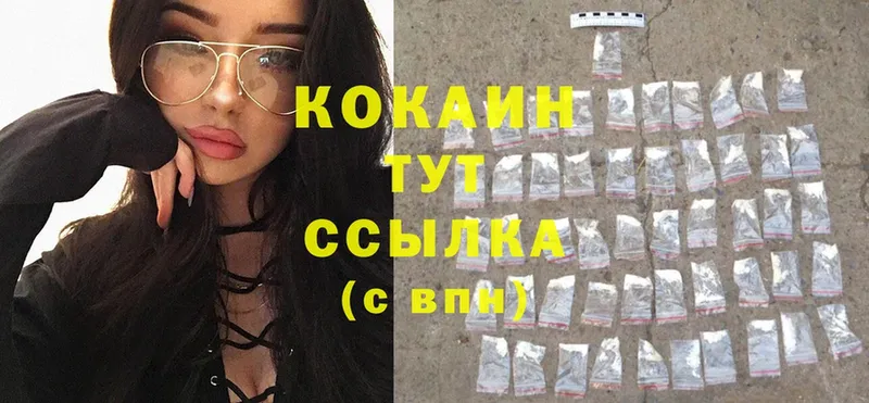 Кокаин FishScale  shop как зайти  Богородск  дарнет шоп 