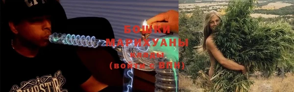 дживик Пересвет
