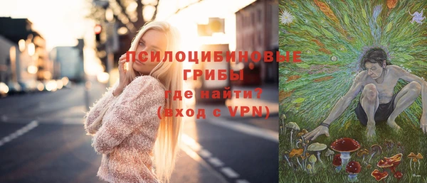 дживик Пересвет