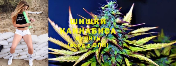 дживик Пересвет
