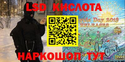 индика Беслан