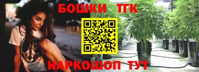 индика Беслан