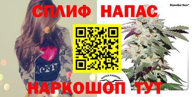 ПСИЛОЦИБИНОВЫЕ ГРИБЫ Аргун