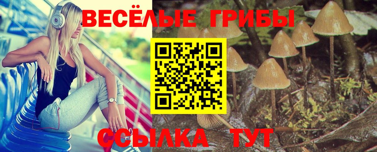 Псилоцибиновые грибы MAGIC MUSHROOMS  Вход с VPN  Богородск 